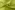 Nylon stof - polyestermix - appelgroen - 997954-716