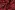 Stretch stof - graphic animals - rood - 22002-160