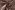 Doorgestikte stof - quilted poly creased - brons - 22763-760