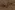 Tricot stof - ribtricot - melange - camel - 24182-053