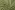 Waterafstotende stof - trenchcoatstof - bosgroen - 34/794112-764
