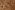 Velours stof - golden velours chrushed - camelbruin - 22102-098