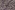 Ribcord Stoff - Kord - digital floral - dunkelblau multi - 22241-600