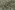 Ribcord stof - corduroy - digitaal bloemetjes - groen multi - 22242-307