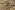 Kunstleer stof - dierenprint leather imitation - bruin multi - 923032-80
