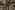 Polyamide stof - brocade - bloemen - zwart multi - 90073-999