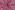 Baumwolle - Blumen - rosa - 5180-005