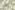 Viscose stof - stretch - satijn - digitaal bloemen - groen multi - 22293-320