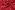 Kerststof - katoen poplin - folie kerstbomen - rood - 22700-015