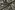 Polyestergewebe - Elizabeth - schwarz - 22097-999