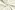 Kerststof - katoen poplin - folie rendieren - gebroken wit - 20707-051