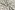 Kerststof - katoen poplin - folie kerstballen - gebroken wit - 20730-051