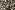 Tricot stof - sportswear - luipaard - zwart crème - 458026-11