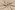 Tricot stof - punta di roma - beige - 24140-152