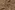Embroidery stof - fur - cotta embroidery lizzy - bruin - 22229-098