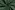 Kerststof - katoen poplin - kerstman gnomes - groen - 20731-025