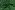 Kerststof - katoen poplin - folie herten - groen - 22702-025
