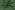 Kerststof - katoen poplin - folie diverse kerstmotieven - groen - 22703-025
