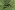 Kerststof - katoen poplin - folie diverse kerstmotieven - groen - 22704-025