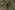 Kerststof - katoen poplin - kerstballen - groen - 22736-025