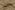 Hydrofiel stof - dobby stippen - camel - 23238-053