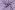 Geruite stof - poplin seersucker - indigo/roze - 25003-006