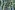 Tricot stof - strepen & bananen - petrol - 7148-015