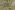 Viscose stof - polyamidemix - shiney - legergroen - 420069-12