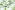 Tricot stof - krokodillen - gebroken wit - 25715-051