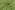 Viscose stof - polyamidemix - shiney - appelgroen - 420069-10