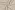 Embroidery stof - double gauze gewatteerd - kersen - naturel - 2967-062