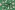 Tricot stof - bloemen - groen - 23646-025