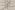Polyester stof - linnenlook - strepen & bloemen - zand - Q11836-520