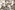 Viscose stof - polyamidemix - digitaal fantasie bloemen - grijs - 22624-970