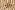Mousseline stof - strepen - brique - 27/25327-056