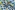 Mousseline stof - palmbomen - kobaltblauw-gebroken wit - 25377-051