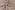 Polyester stof - linnenlook - dew drops - taupe - Q11838-540