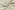 Mousseline stof - panterprint - gebroken wit - 25323-051