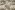 Viscose stof - linnenmix - digitaal bloemen dierenprint - beige - P18014-542