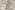 Viscose stof - linnenmix - digitaal takken en bladeren - naturel - P18015-542