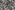 Viscose stof - nylon air flow - schelpen - wit - P12019-500