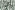 Mousseline stof - strepen - groen - 27/25327-024