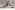 Voile stof - dierenprint - ecru - JT448