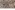  Polyester stof - mesh - dierenprint - bruin - JT427