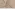 Tricot stof - punta twill - beige - JT426