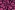 Sweattricot - soft sweat - hartjes - donkerpaars - 27/7156-002