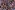 Katoenen stof - mix - abstract - paars multi - 27/7033-009