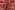 Polyester stof - jacquard - bloemen - roze - 27/4529-001