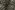 Stretch stof - katoen - twill - dierenprint - bruin - 27/4620-001