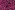 Sweattricot - soft sweat - hartjes - cherise - 27/7156-012